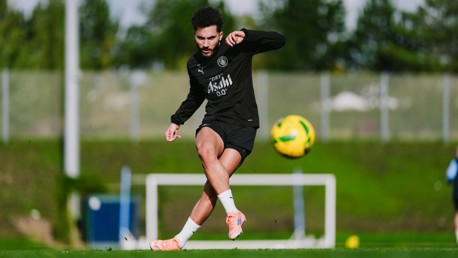 Training: Swans waiting in the wings