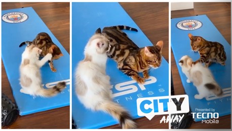 City Away #10: Le tigre de Manchester City 
