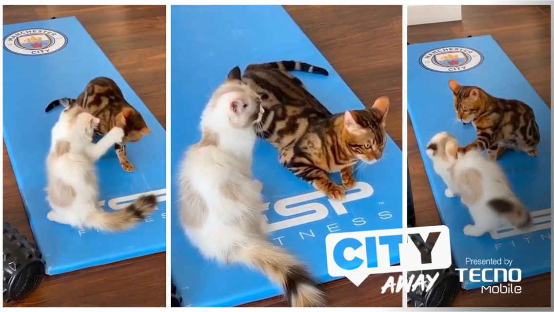 CITY AWAY #10 | 지난 한 주간의 모습들