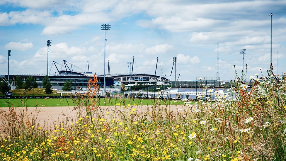 BACKDROP : The Etihad creeps up behind the CFA.