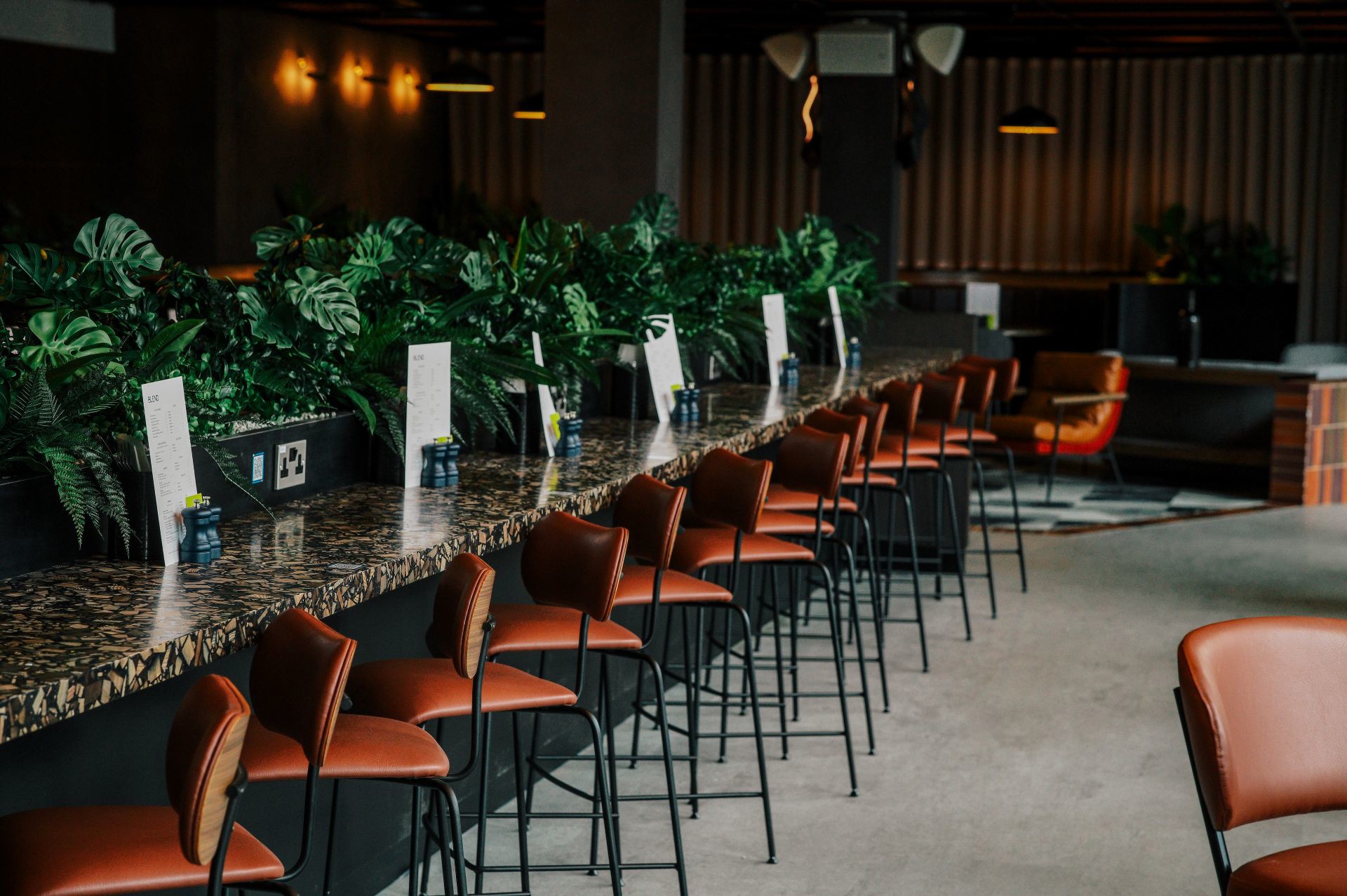 A modern bar with a long counter, brown chairs, and green plants. It is well-lit with lamps and has menus on the counter.