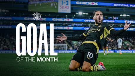 Vote for your Goal of the Month for August