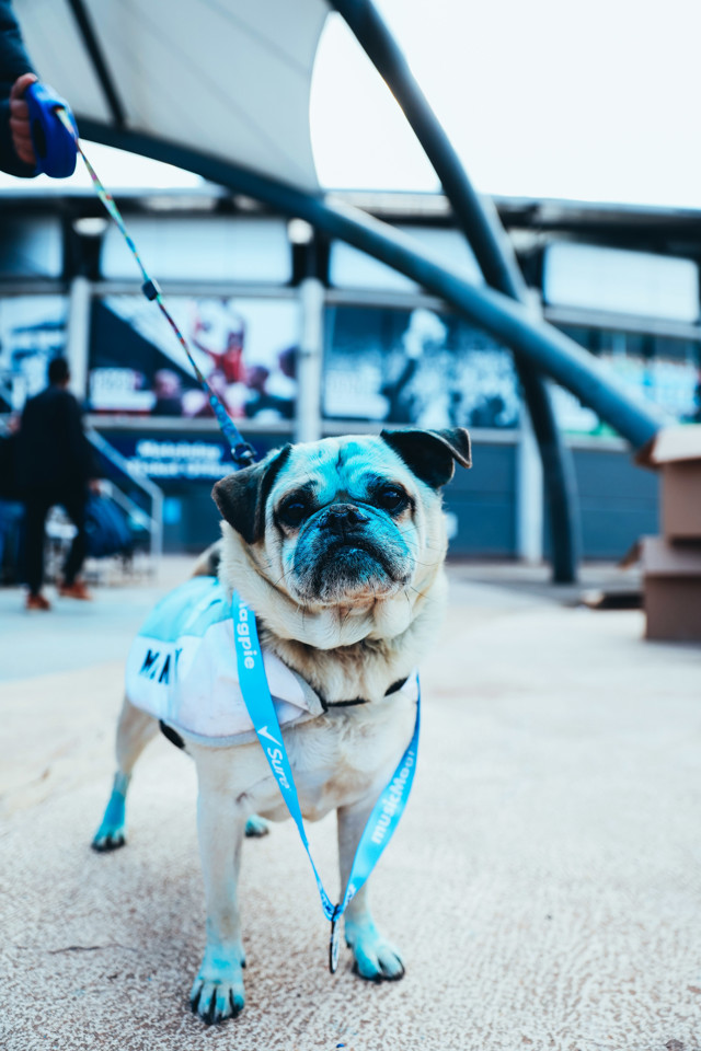 blue run
