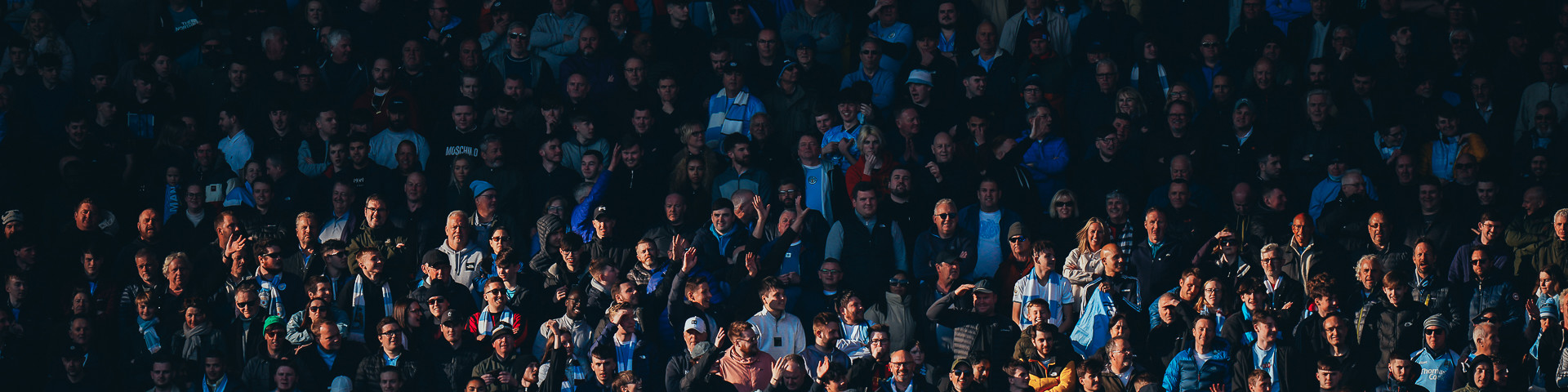 Fans