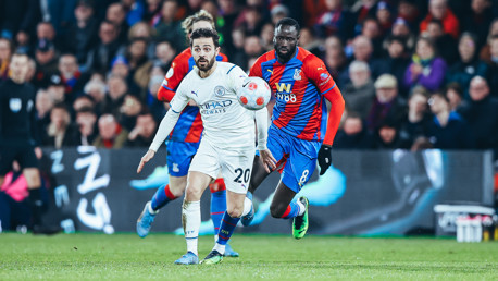 BUSY BERNARDO: Looking for a way through.