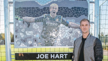 HART ATTACK: The Club has honoured Joe with a pitch dedication 