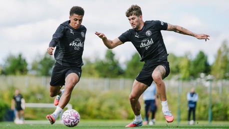 Training: Seagulls in sight 