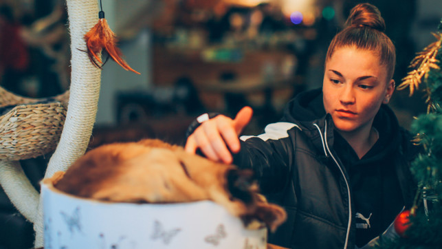 What the Cat Cafe dragged in Jess Park and Laura Coombs What the Cat Cafe dragged in Jess Park and Laura Coombs