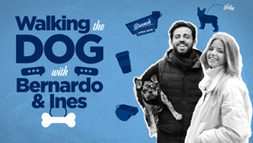 Bernardo walks the dog!