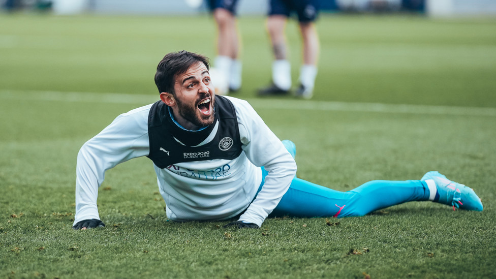 SILVA SALVO: Something has got Bernardo's attention!