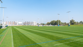 Zayed Grass Pitches