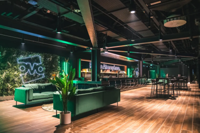 A modern lounge area with green sofas, a plant, a bar with neon lights, and wooden flooring.