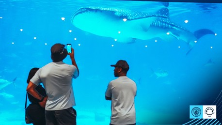 Lescott and Wright-Phillips dive into marine conservation at Georgia aquarium – Powered by Xylem