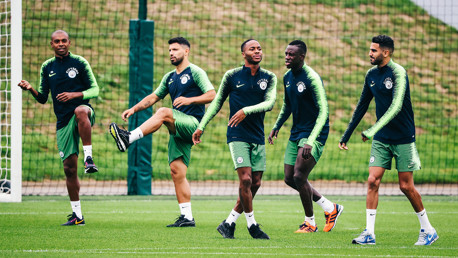 LIMBER: A team-stretch-out