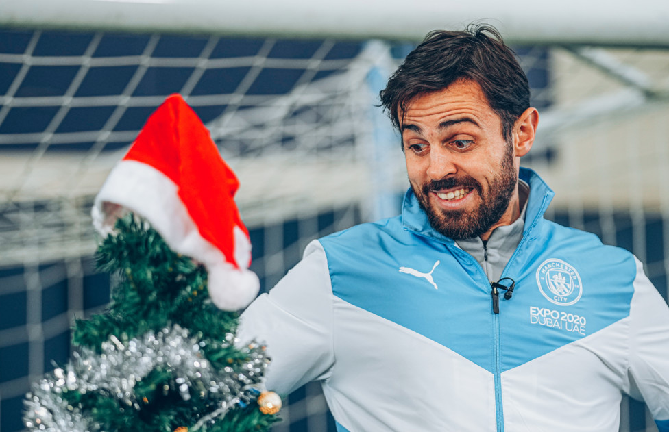 SILVA CLAUS : Top of the tree at Christmas!