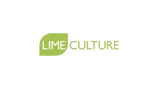 SUMMARY OF, AND CLUB RESPONSE TO, THE LIME CULTURE AUDIT