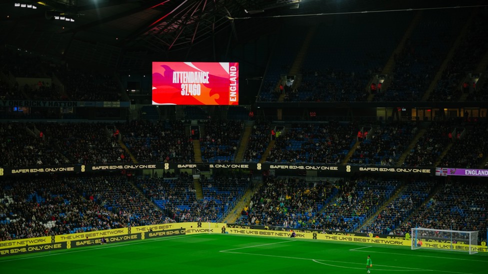 INCREDIBLE SUPPORT : England fans out in full force.