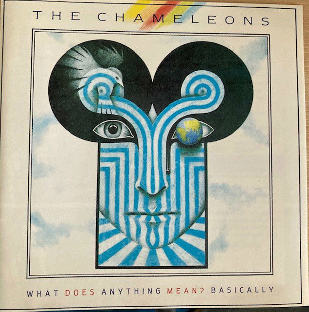 SECONDS OUT: What Does Anything Mean Basically, the Chameleons' second album