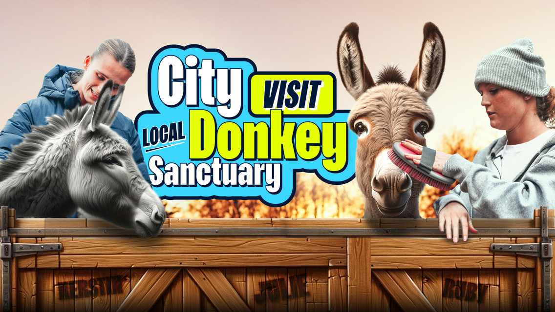 City players visit the Manchester Donkey Sanctuary
