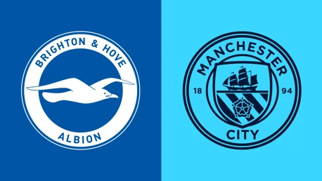 Brighton & Hove Albion FC logo with a seagull; Manchester City FC logo featuring a ship and red rose.