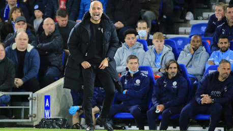 PEP TALK: The boss passes on instructions from the touchline.
